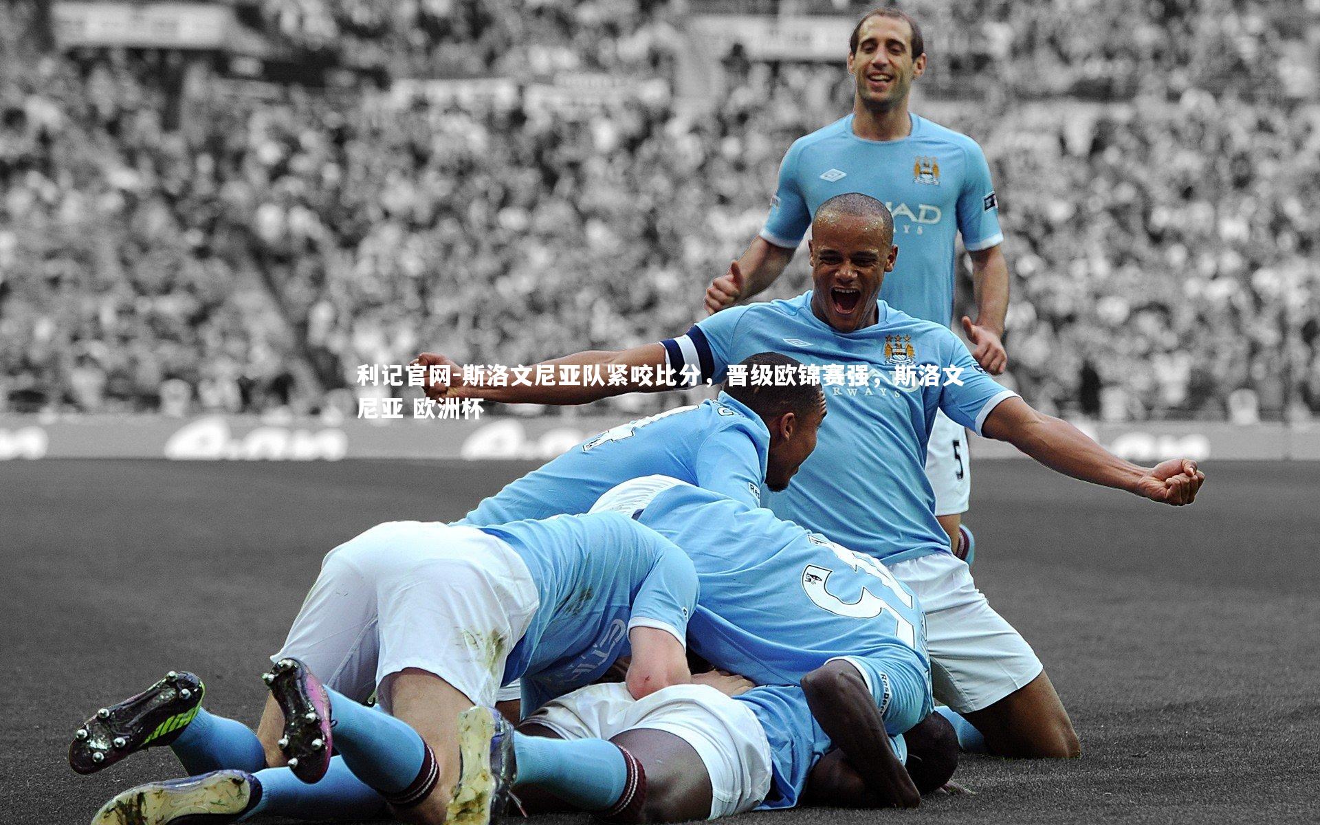 斯洛文尼亚队紧咬比分，晋级欧锦赛强，斯洛文尼亚 欧洲杯