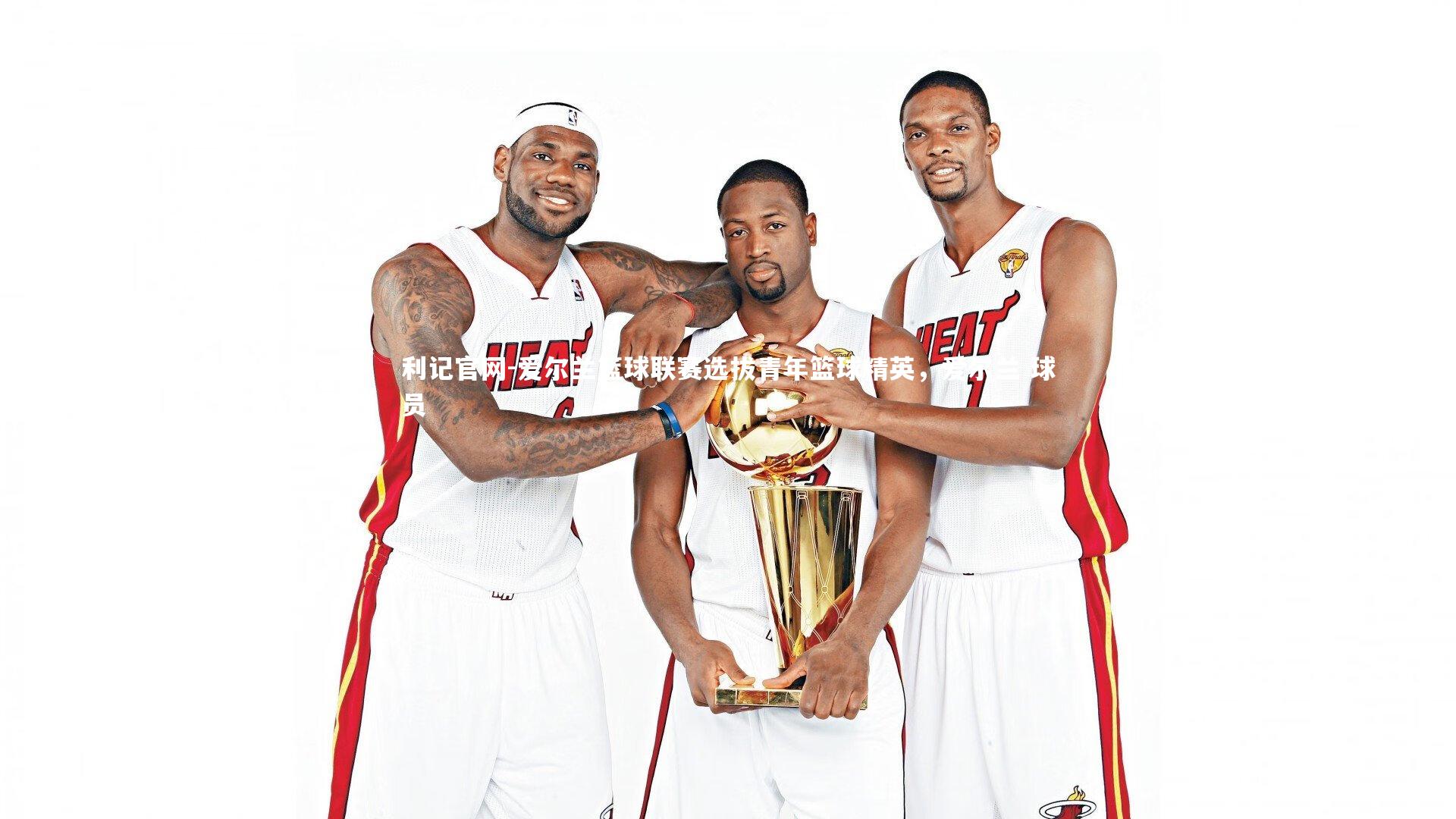 爱尔兰篮球联赛选拔青年篮球精英，爱尔兰 球员